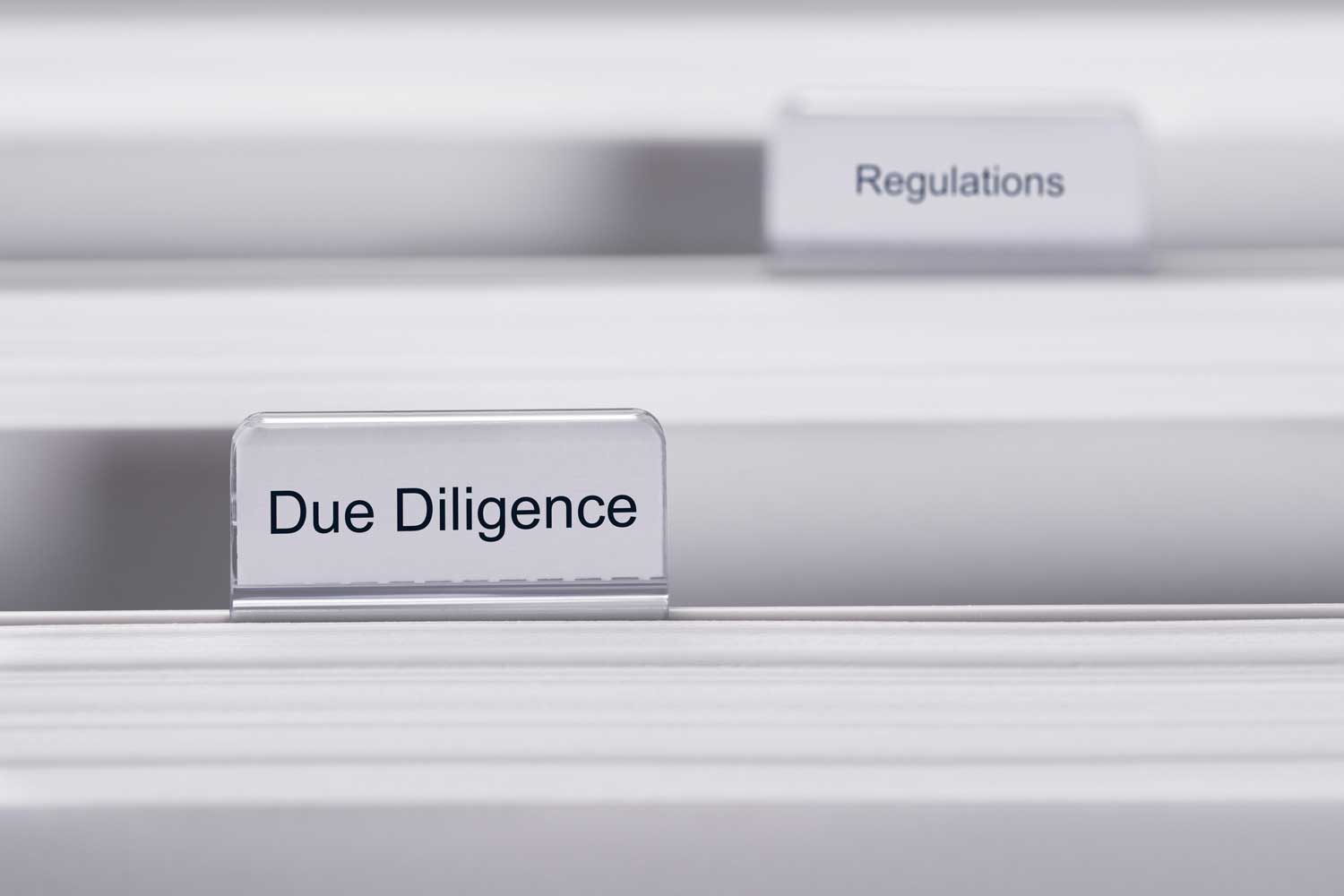 Due Diligence